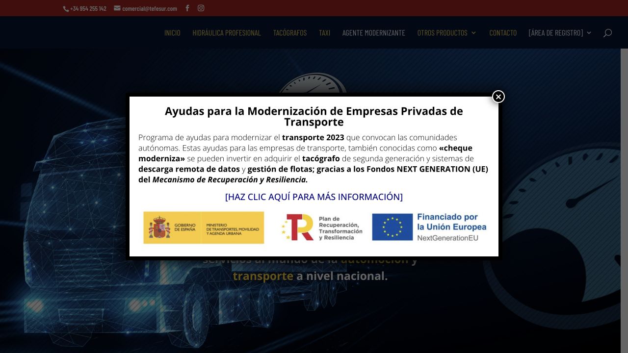 Captura real de la web de Tefesur